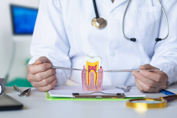 Best Emergency Tooth Extraction in South Pittsburg, TN